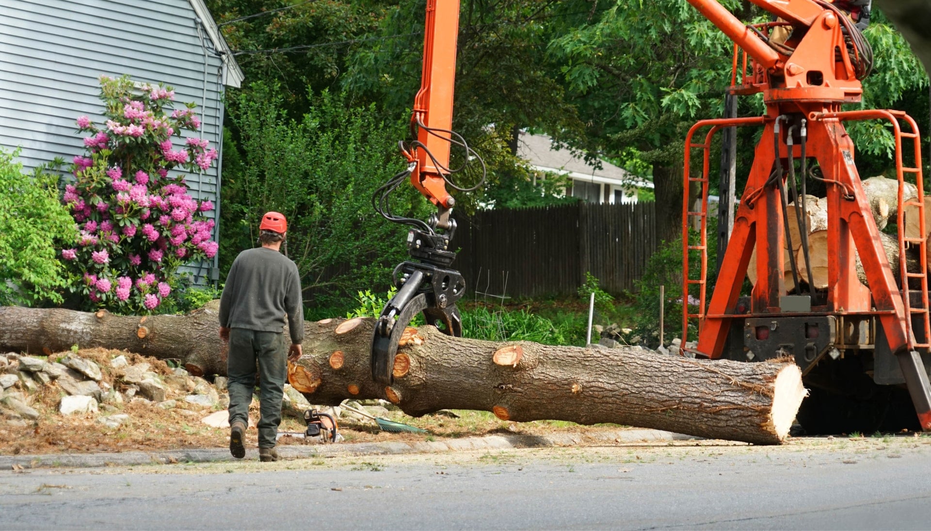 A tree stump has fallen and needs tree removal services in Austin, TX.
