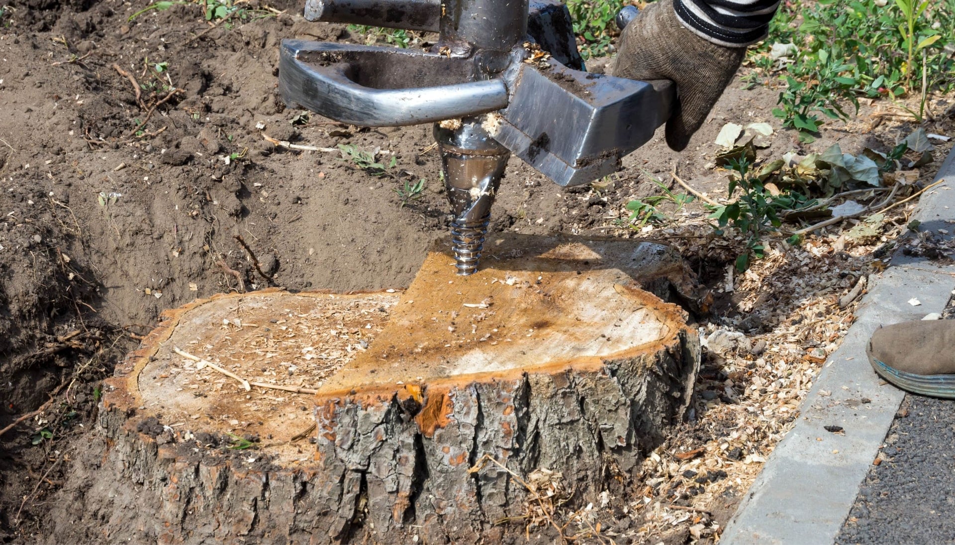 A stump grinding expert wearing work gloves for project in Austin, TX.